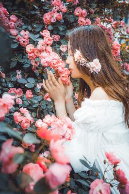 老版九1免费版下载安装