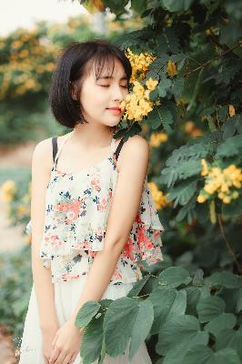 免费人成网WW555在线直播