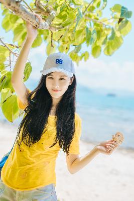 仙台有树电视剧免费观看全集高清完整版